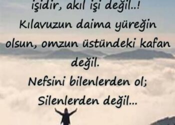 Tefsir Aklın Değil Gönlün İşidir