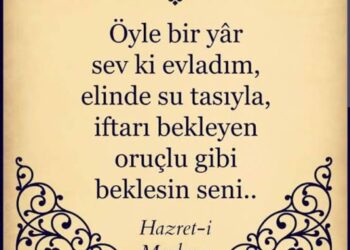 Oruçlu Gibisin. Kulsun, Sevimlisin