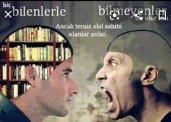 Akıl ve Bilgi