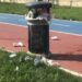 Parkın Çöpleri