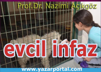 Evlere Hapsedilen Hayvanlar