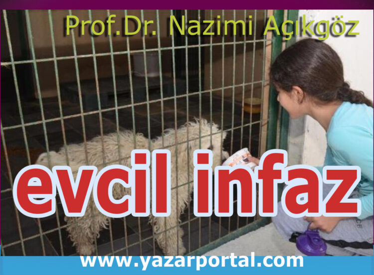 Evlere Hapsedilen Hayvanlar