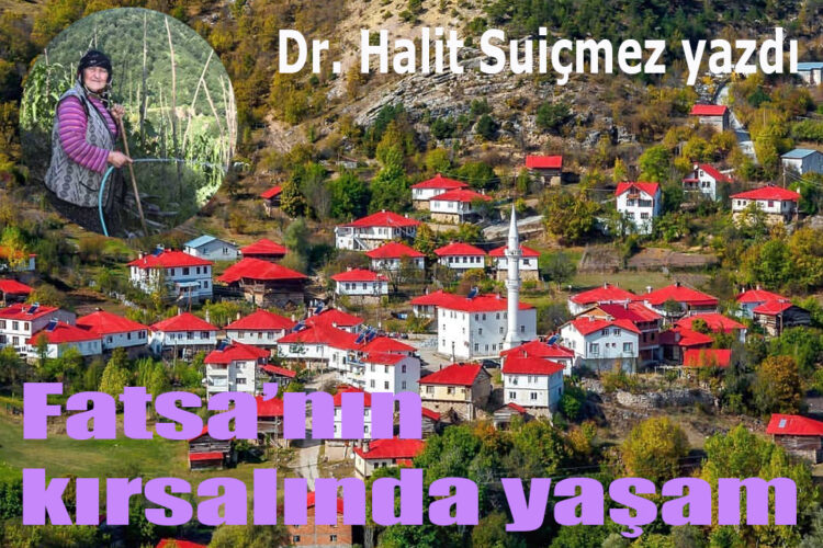 Fatsa’nın Kırsalında Yaşam..