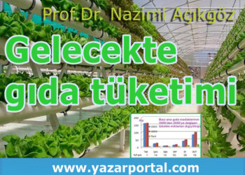 Gelecekte Gıda Tüketimleri Ne Yönde Değişecek