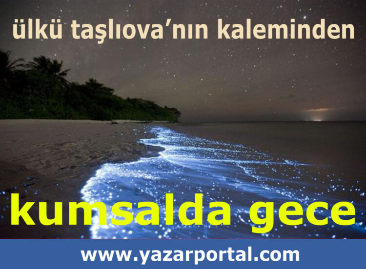 Kumsalda Gece