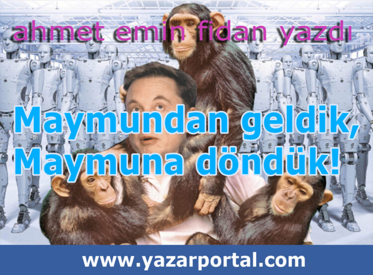 From Monkey, To Monkey; El Cevap: Hiç