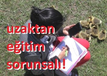 Uzaktan Eğitim Olur mu?..