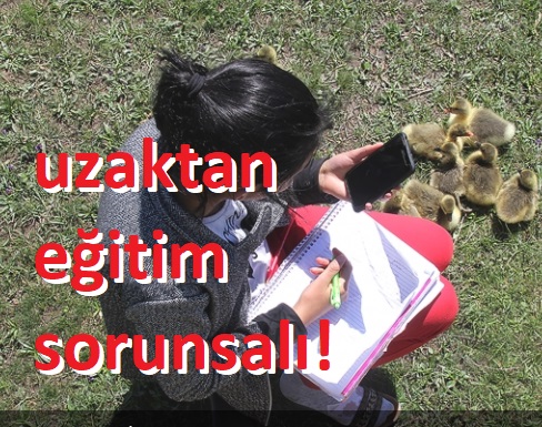 Uzaktan Eğitim Olur mu?..