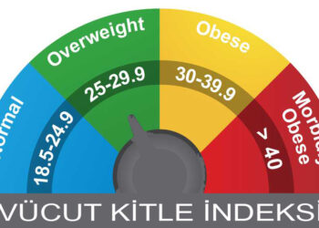 Vücut Kitle İndeksini Sağlıklı Ölçüsü Olarak Kullanmayı Bırakın