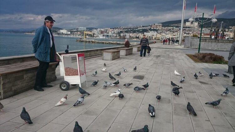 Kuşadası Canımsın Sen