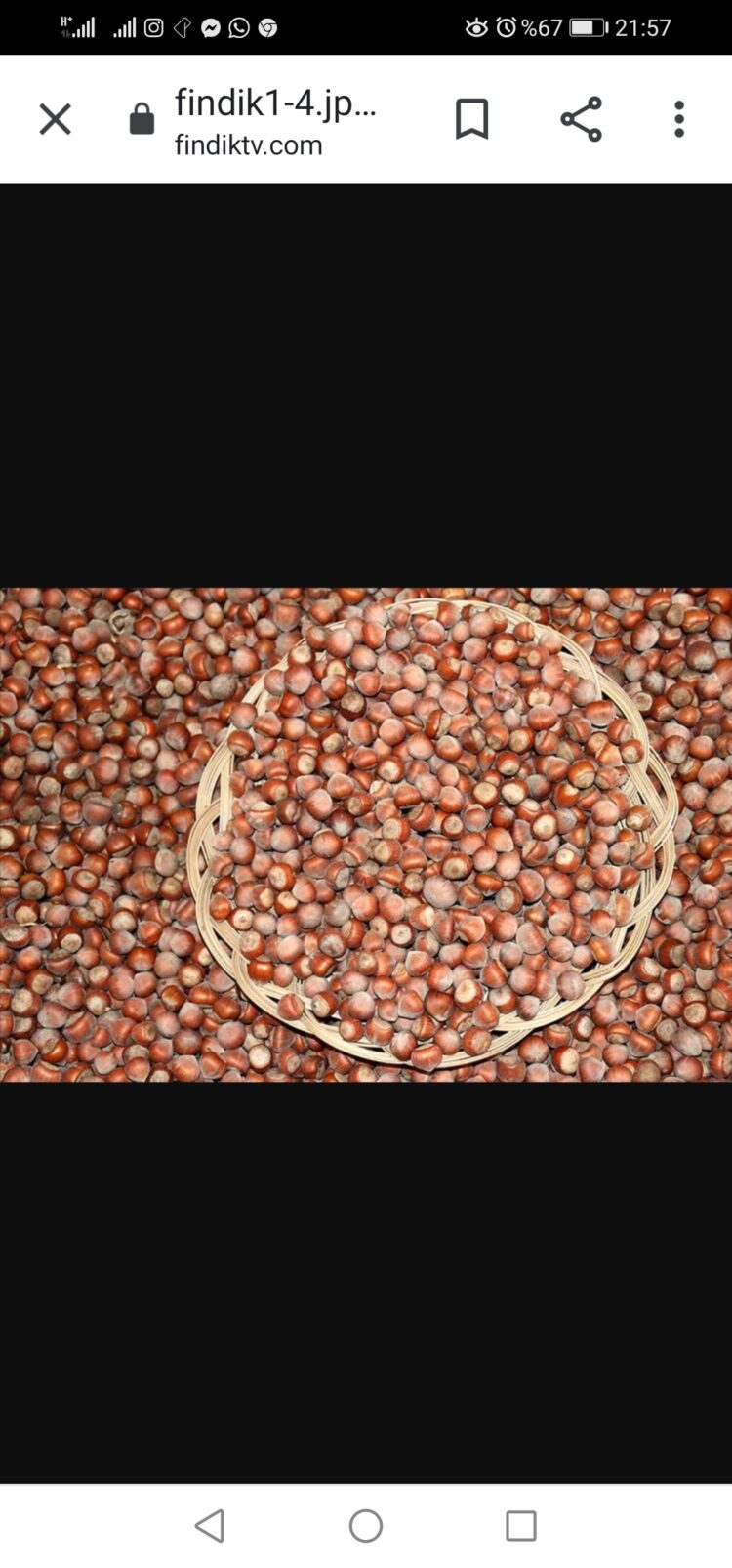 Anadolunun Gücü Fındık İçin El Ele