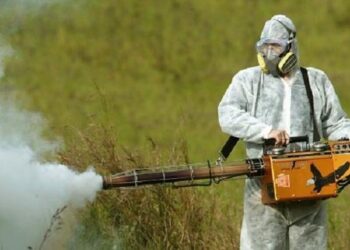 DDT’nın Zararı 22 Yıl Sonra Anlaşıldı