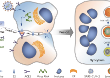 Varyantlar Antikorlardan Nasıl  Kaçıyor?
