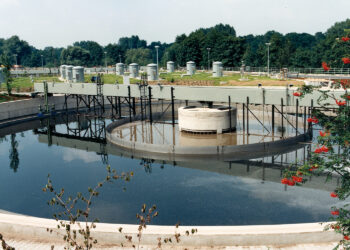 Müsilaj ve Şimdi de Denizanları