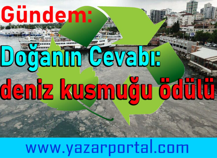 Doğanın En Güzel Ödülü: Deniz Saylaları