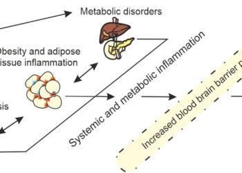 Alzheimer Bir Beslenme Hastalığıdır