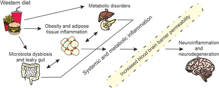 Alzheimer Bir Beslenme Hastalığıdır