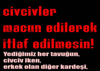 Erkek Civcivler İtlaf Edilmesin
