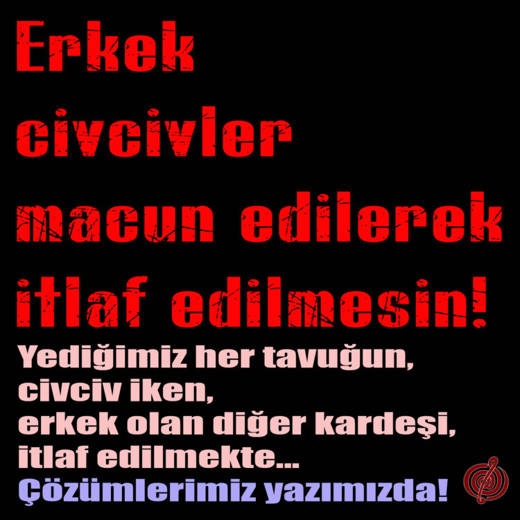 Erkek Civcivler İtlaf Edilmesin