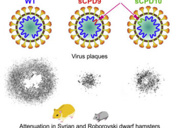 Zayıflatılmış Virüslerle Burnuna Uygulanan Aşılar Salgını Durdurabilir