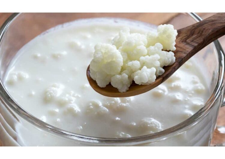 Kefir Anti-Enflamatuar Bir İlaç Olabilir