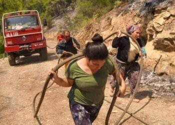 Orman Yangınları ve Acıları Yaşamak