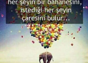 Öğrenci & Öğretmen Aşkı