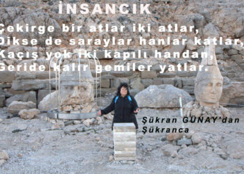 İnsancık