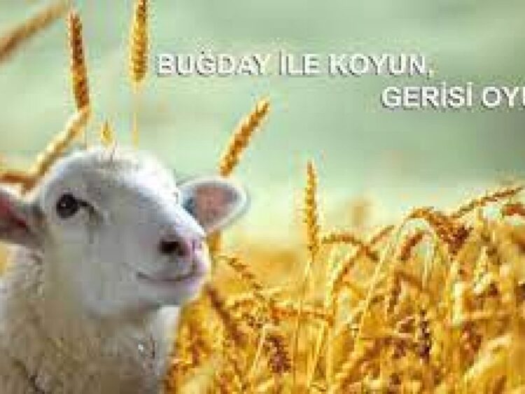 Devlet ve Çiftçiler