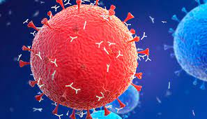 Antikorum Düştü Diye Ağıt Yakanlara Müjde!