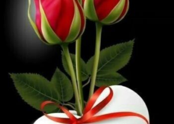 Ateş Düştüğü Yeri Yakar