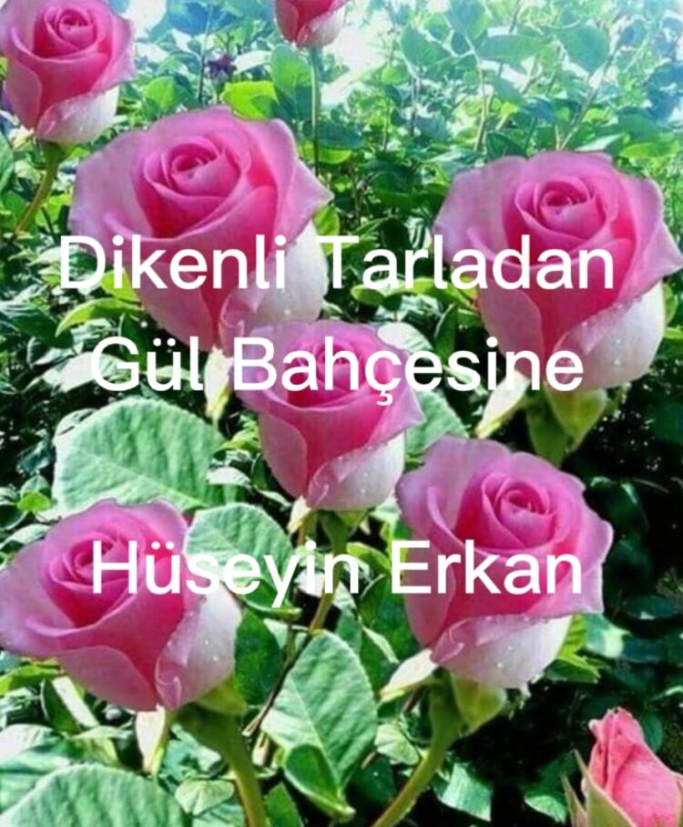 Diken Tarlasından Gül Bahçesine (XXII)