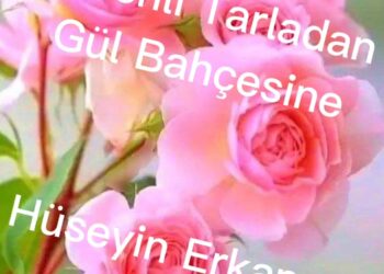 Dikenli Tarladan Gül Bahçesine (XXIII)