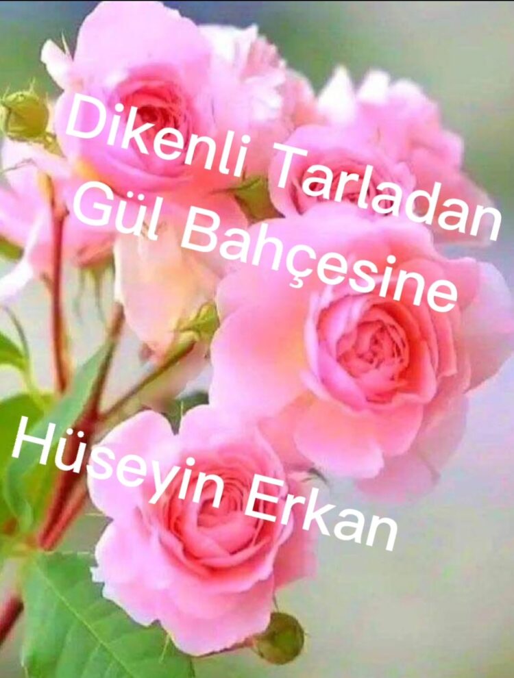 Dikenli Tarladan Gül Bahçesine (XXIII)