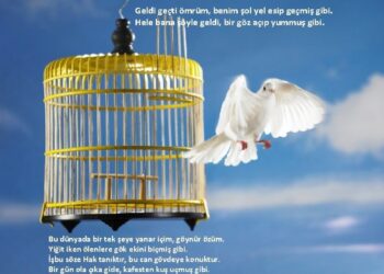 Son Pişmanlık Neye Yarar?