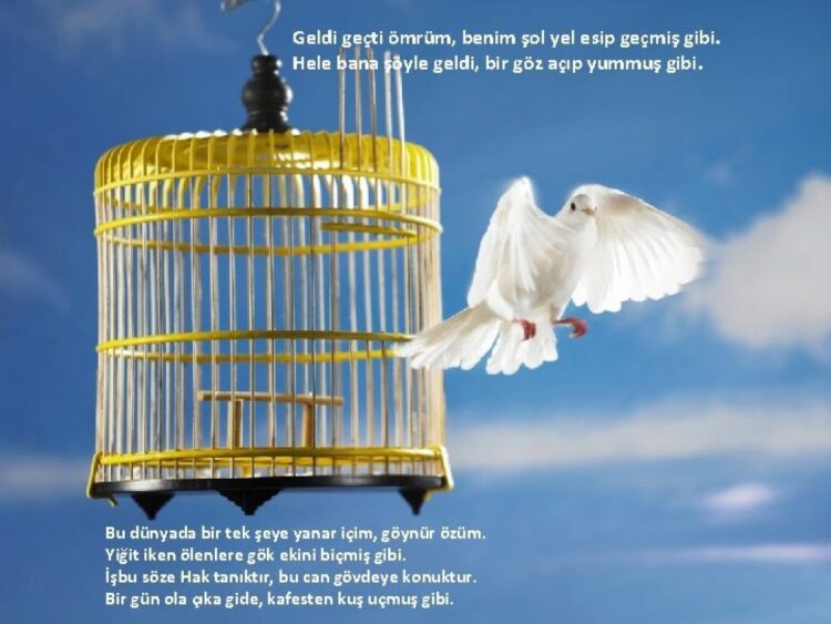 Son Pişmanlık Neye Yarar?