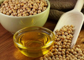 Soya Yağı Beyin Sağlığını da Etkileyebilir