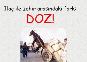 Zehir ve Doz