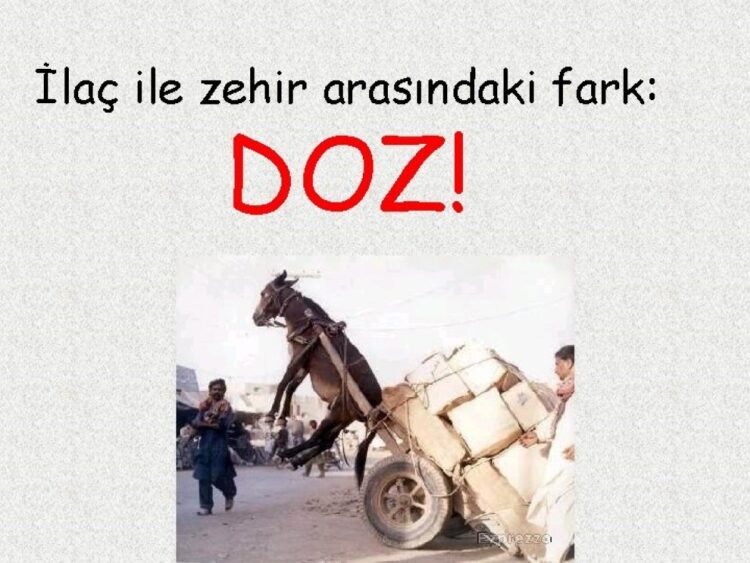Zehir ve Doz