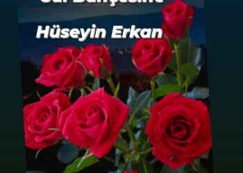 Diken Tarlasından Gül Bahçesine: (XXVI)