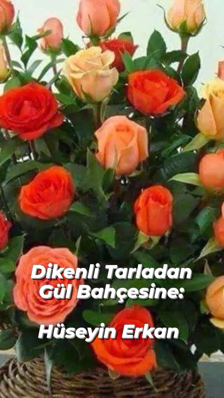 Diken Tarlasından Gül Bahçesine: (XXVII)