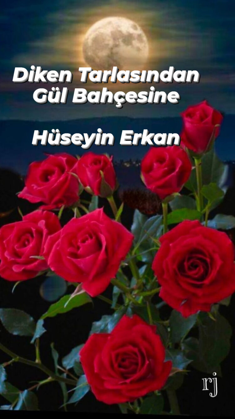 Diken Tarlasından Gül Bahçesine (XXVIII)
