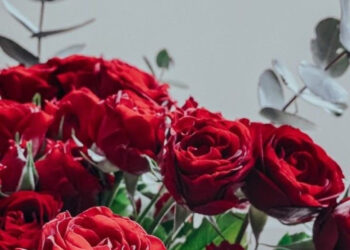 Diken Tarlasından Gül Bahçesine (XXXI)