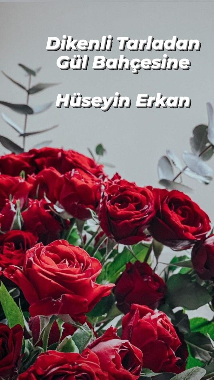 Diken Tarlasından Gül Bahçesine (XXXI)