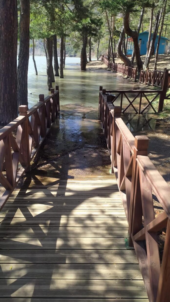 Boraboy Yolunda Bir Gönül