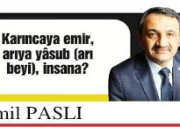 Karıncaya Emir, Arıya Yâsub (Arı Beyi), İnsana? (Kafa Avcılığı)