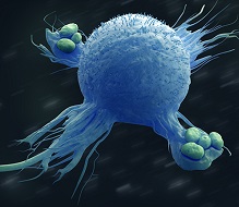 Kovid’ deki Enflamasyonda Monosit ve Makrofajların Rolü