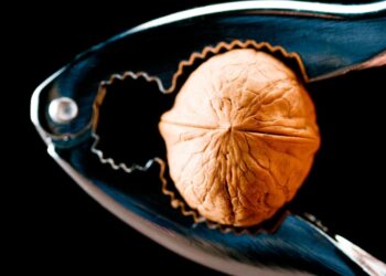 Yeterli Magnezyum Olmadan Kanser ve Mikroplarla Mücadele Edilemez