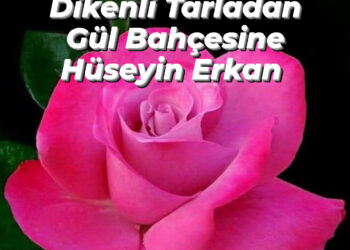Diken Tarlasından Gül Bahçesine (XXXVI)