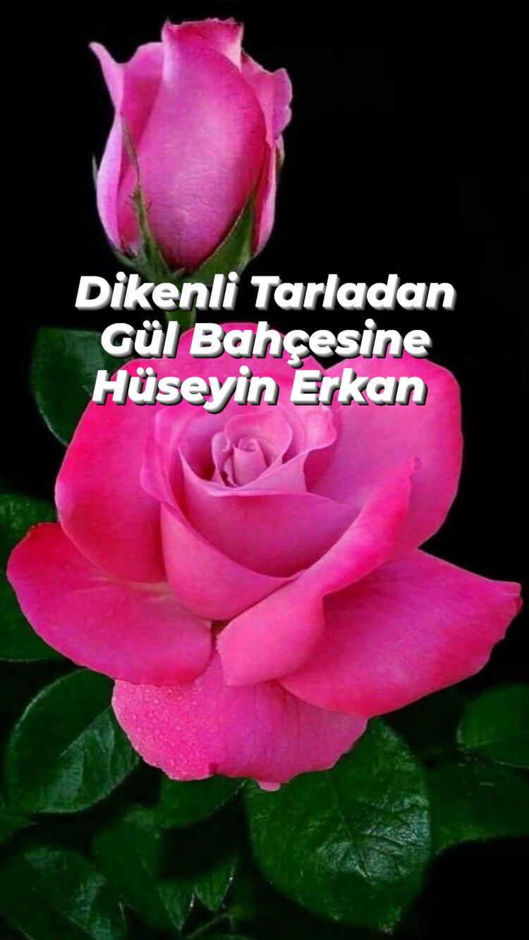 Diken Tarlasından Gül Bahçesine (XXXVI)